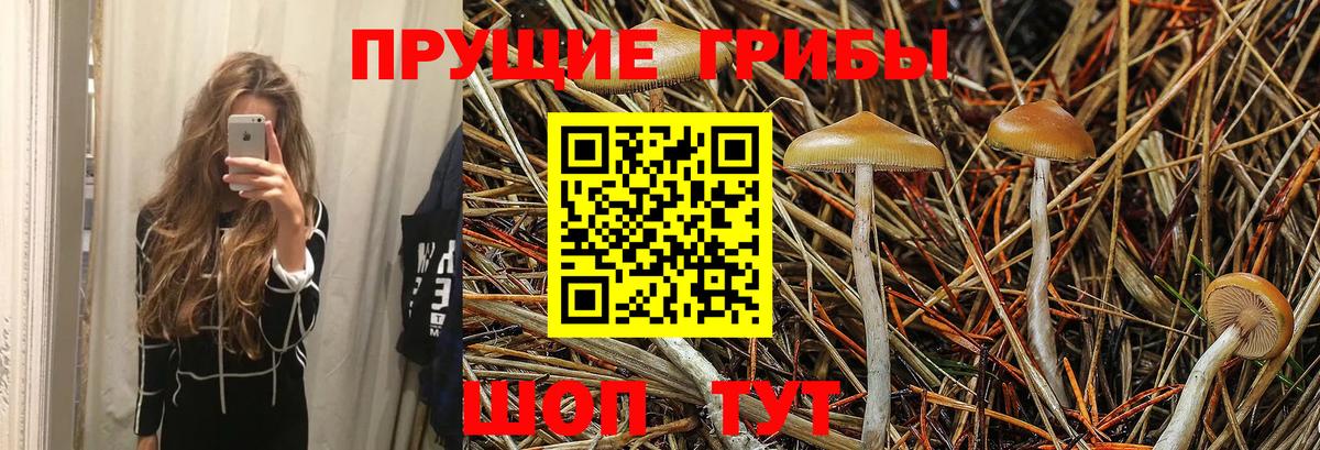 дарнет шоп  Псилоцибиновые грибы Magic Shrooms  Вход с VPN  Донецк 