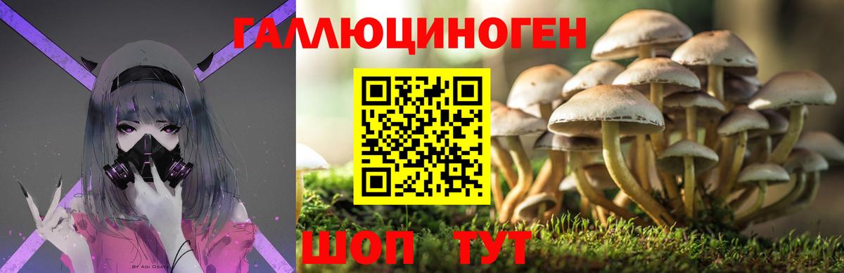 Галлюциногенные грибы ЛСД Донецк